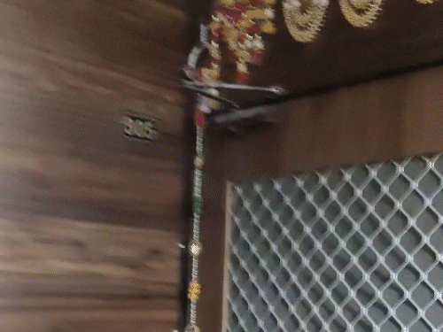 महादेव बैटिंग ऐप के देशभर में 3.29 करोड़ रुपए सीज:जयपुर में ड्राई फ्रूट व्यापारी का फर्जी कम्पनियों में निवेश मिला, ब्लैक मनी से चल रहा खेल