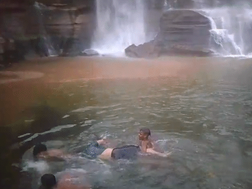 2 SECL अधिकारियों की डूबने से मौत:एक शहडोल दूसरे तेलंगाना के रहने वाले; पिकनिक मनाने MCB के अमृतधारा वाटरफॉल गए थे 8 लोग