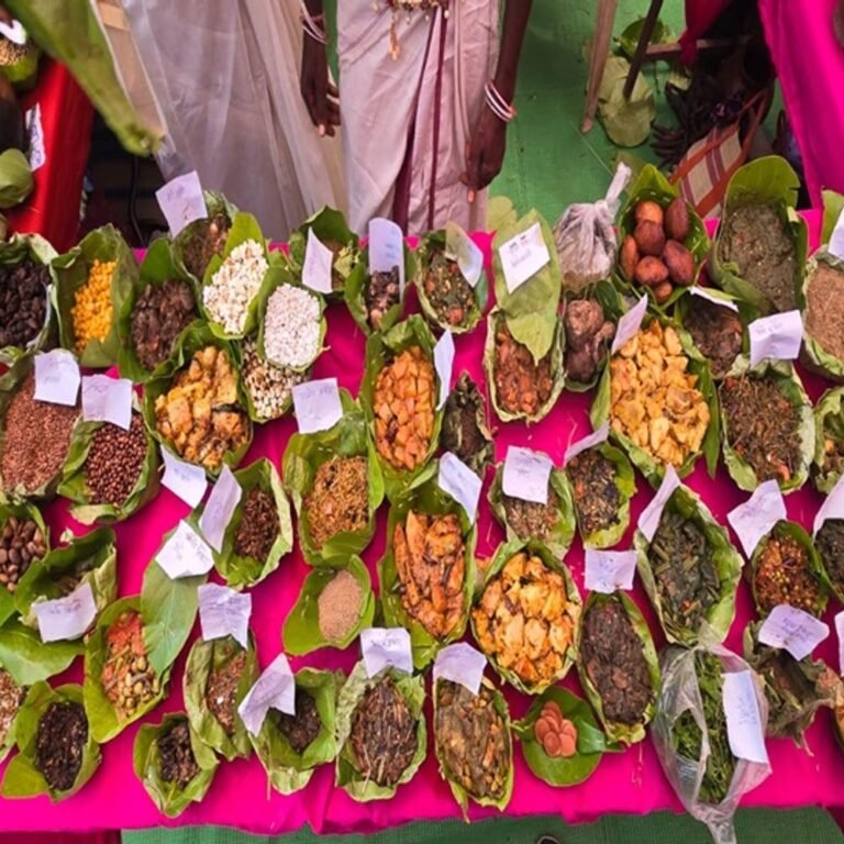 बस्तर में 150 प्रकार के देसी फूड्स:खाने में लजीज, सेहत के लिए बेस्ट; शुगर-बीपी करते हैं कंट्रोल, गर्भवती महिलाओं के लिए भी फायदेमंद