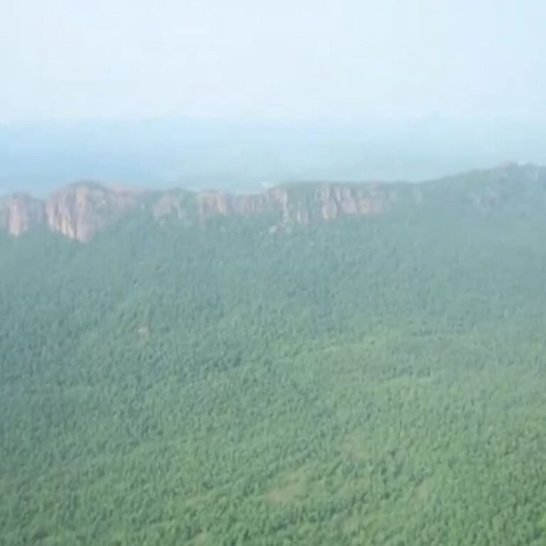 मौत का डर, शांति-वार्ता के लिए नक्सलियों का चौथा लेटर:सेंट्रल कमेटी बोली-3 साथी मारे गए,बड़े लीडर को मारने की तैयारी,हम बातचीत के लिए तैयार
