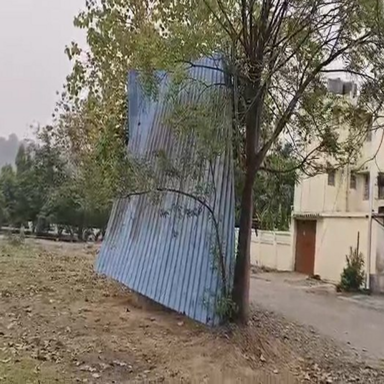 आंधी-तूफान में 200 मीटर दूर उड़ा उड़ा टीन शेड:दीपका में पेड़ में फंसा, बाल-बाल बचे राहगीर; नगर पालिका पर उठे सवाल