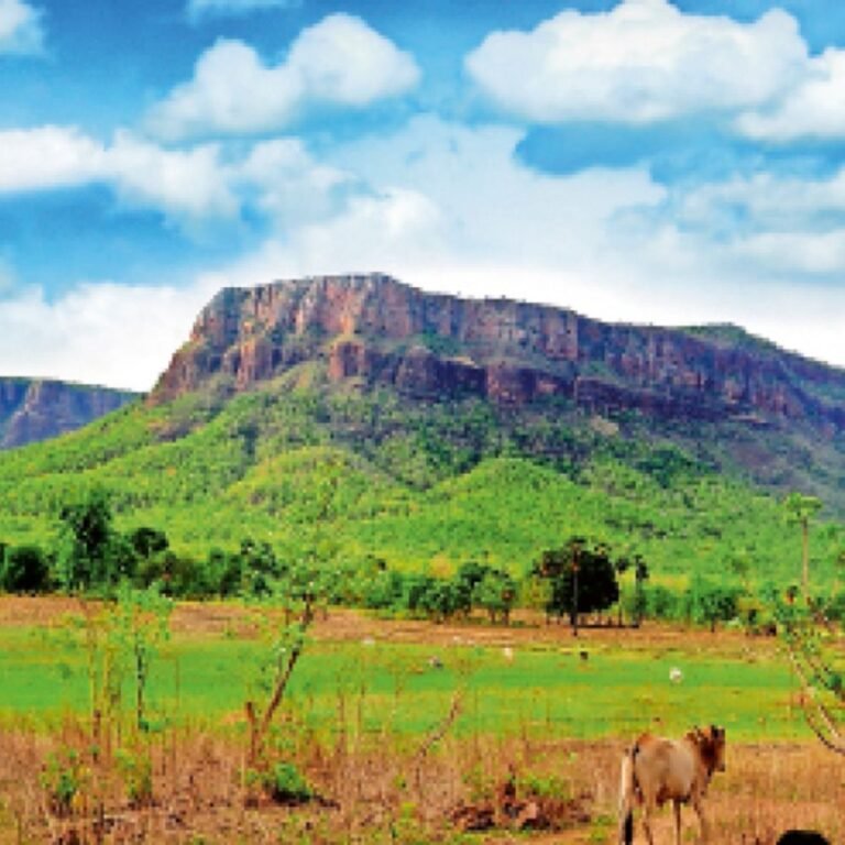 ऑपरेशन जारी -:पहाड़ के ऊपर से कोई विशेष हलचल नहीं