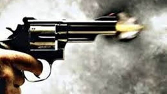 मुरैना के तोर गांव में सरकारी जमीन पर अवैध कब्जे को लेकर दो पक्षों में फायरिंग, गोली लगने से एक की मौत