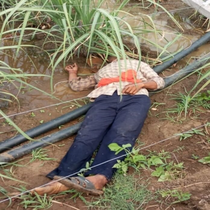 फेसिंग तार की चपेट में आने से किसान की मौत:बालोद में गन्ने की फसल बचाने खेत में लगा रखा था तार