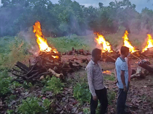 बसवा राजू समेत 8 नक्सलियों का नारायणपुर में अंतिम संस्कार:पुलिस बोली- डेडबॉडी सड़ रही थी, मजिस्ट्रेट के आदेश के बाद जलाया