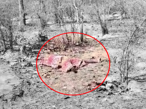 गलत नीयत से पकड़ा,नाबालिग बोली- सबको बताऊंगी:चौकीदार ने बदनामी के डर से कुल्हाड़ी से मार-डाला, गुमराह करने निर्वस्त्र किया,सूरजपुर में DNA से पकड़ाया