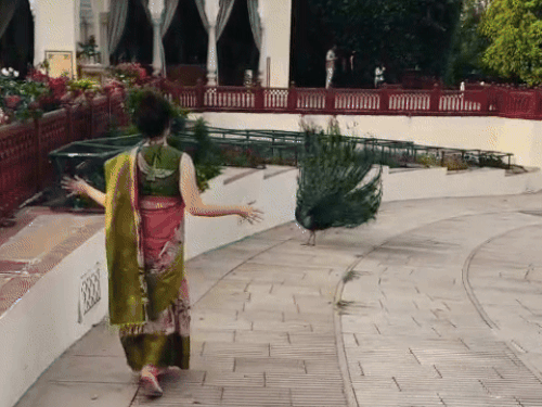 कंगना रनोट ने इंस्टाग्राम रील में पाकिस्तानी गाना लगाया:पाकिस्तान के यूजर्स ट्रोल कर रहे, बोले- इतनी नफरत तो हमारा सॉन्ग क्यों लगाया