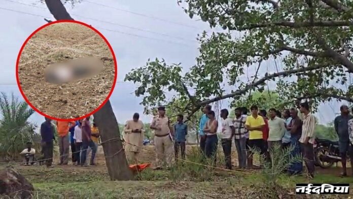 Raipur crime news: लापता नाबालिग लड़की का मिला शव, चाकू से गोदकर की हत्या