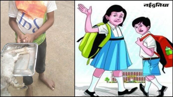 स्कूल में पढ़ने आए बच्चे से उठवाई मरी हुई बिल्ली, टीचर के जवाब सुनकर दुख होगा