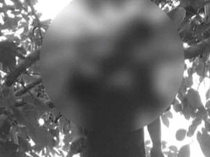 'मेरी मौत की वजह गर्लफ्रेंड है'...लिखकर फंदे पर झूला:इंस्टाग्राम पर लिखा सुसाइड नोट, कहा-रेप केस में फंसाने की धमकी दी; रायपुर बुलाकर वसूले 15,000