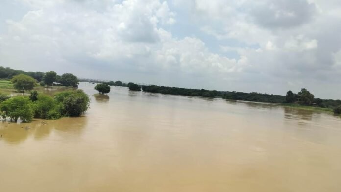 सिंध-क्वारी खतरे के ऊपर बह रही, कोटा बैराज से 2.90 लाख क्यूसेक पानी छोड़ा, गांवों में अलर्ट