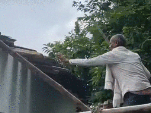 कब्र से निकाली गई लाश...चर्च में तोड़फोड़ VIDEO:भाई बोला- हत्या कर दफनाया, 3 साल पहले ईसाई धर्म अपनाया था, अब मौत पर बवाल