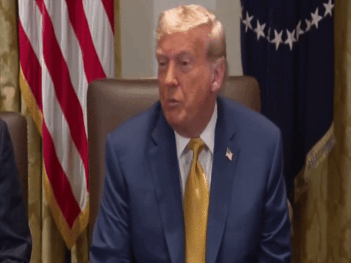 ट्रम्प भारत समेत BRICS देशों पर 10% एक्स्ट्रा टैरिफ लगाएंगे:कहा- डॉलर राजा है, इसे चुनौती देने वालों को भारी कीमत चुकानी पड़ेगी