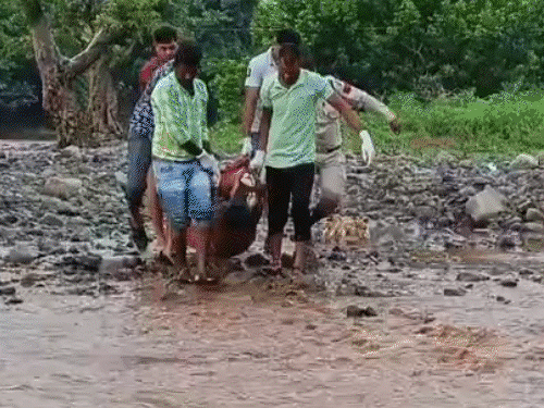रायपुर में बारिश, सभी जिलों में यलो अलर्ट:बस्तर संभाग के जिलों में 5 दिन बरसात; कवर्धा में पुल से 5 बहे, 1 की मौत
