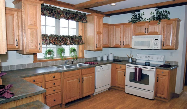 Kitchen Vastu Dosh: किचन में इन 5 चीजों को रखने से घर आएगी दरिद्रता, मां लक्ष्मी भी हो जाएंगी रुष्ट