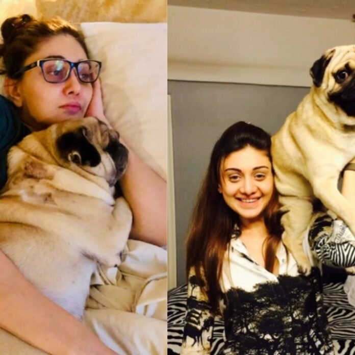 शेफाली जरीवाला के निधन के एक महीने:पति पराग ने भावुक होकर पालतु डॉग की तरफ से लिखा- सिंबा तुम्हारी मौजूदगी का एहसास कर सकता है