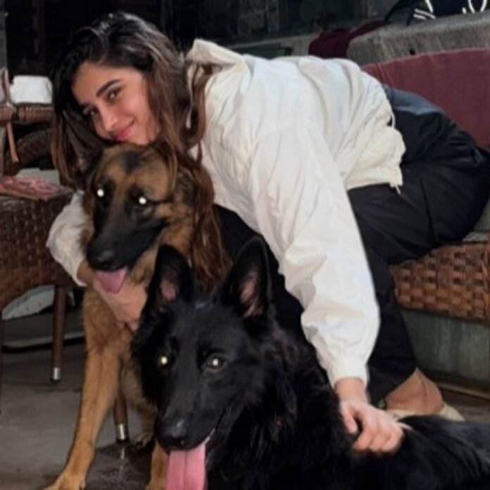 राशा थडानी ने रेस्क्यू किए थे आवारा कुत्ते और बिल्ली:कहा- बारिश में हाईवे पर बेसहारा छोड़े गए थे, पिछले मालिकों ने पीटा था; एडॉप्शन की अपील की