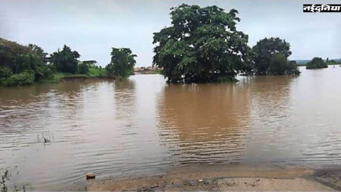 CG News: उफान पर गोदावरी नदी, बीजापुर-हैदराबाद नेशनल हाईवे 163 बंद