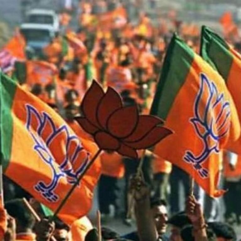 छत्तीसगढ़ बीजेपी में फेरबदल, 47 नए पदाधिकारी नियुक्त:8 उपाध्यक्ष, 3 महामंत्री, 8 मंत्री बनाए गए, किसे क्या जिम्मेदारी मिली देखिए लिस्ट