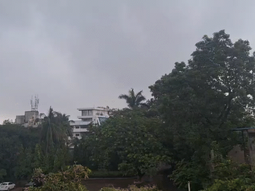 प्रदेश में हफ्तेभर बरसात...कांकेर-बस्तर-नारायणपुर में यलो अलर्ट:दुर्ग-बिलासपुर समेत बाकी जिलों में गरज-चमक के साथ बिजली गिरेगी, रायपुर में बरसा पानी