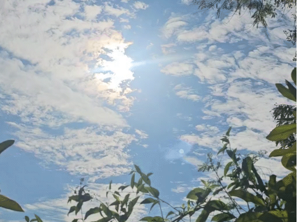 सरगुजा, बस्तर संभाग के 16 जिलों में बिजली गिरेगी:बलरामपुर में भारी बारिश की चेतावनी; 4 दिन बाद सेंट्रल पार्ट के सभी जिले भीगेंगे