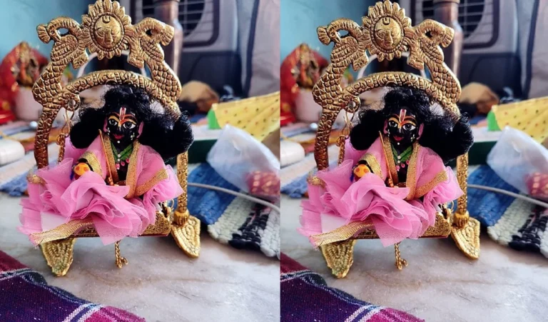 Laddu Gopal Puja: लड्डू गोपाल घर में हैं तो बच्चे की तरह करें सेवा, जान लें ये खास नियम