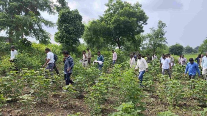 MP में 15 दिन पूर्व जन्मे जुड़वां बच्चों की मौत, पोस्टमार्टम के लिए दफनाए बच्चे का शव निकाला