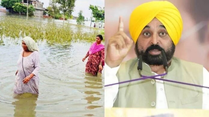 Diwali से पहले मिलेगा किसानों को मुआवजा, पंजाब सीएम भगवंत मान ने किया बड़ा एलान
