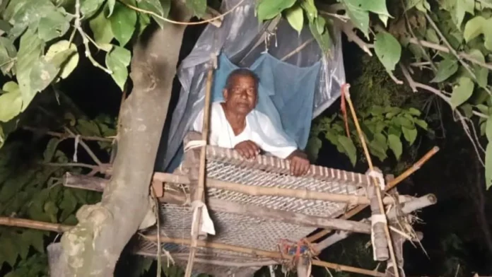 उत्तर प्रदेश के बहराइच में रातों को 'खुलेआम घूम रही मौत', गांव वाले पेड़ों पर रहने को मजबूर, जानिए क्या है मामला