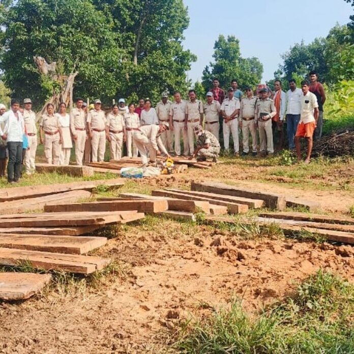 वन विभाग को मिली बड़ी सफलता:करमडीया गांव में 30 हजार की अवैध साल लकड़ी जब्त, एक आरोपी के खिलाफ कार्रवाई