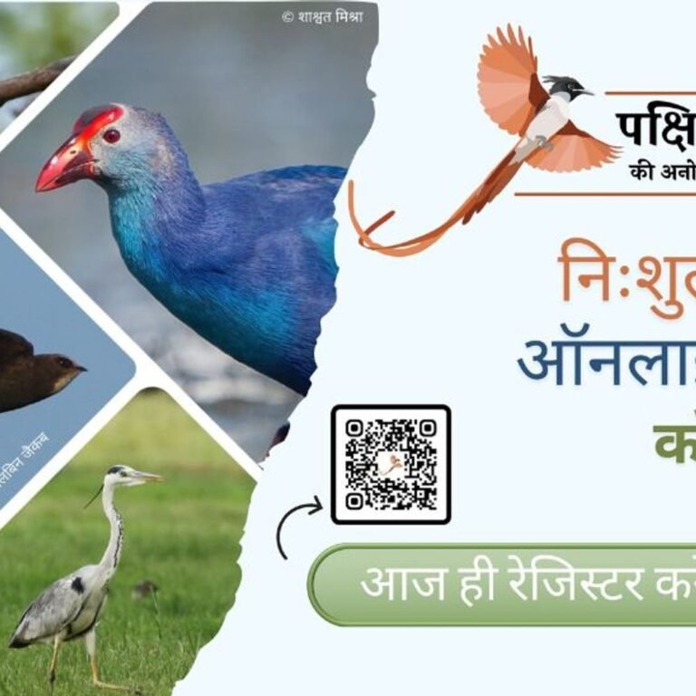 इम्‍पैक्‍ट फीचर:‘पक्षियों की अनोखी दुनिया’; अर्ली बर्ड का निःशुल्क कोर्स अब हिंदी में भी उपलब्ध