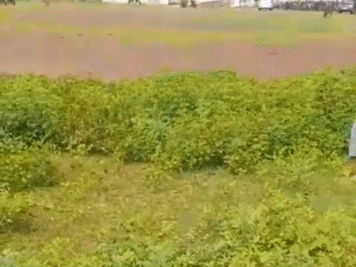 जन्मदिन पार्टी में दोस्त को मार डाला:दुर्ग में बर्थडे बंप मारने पर विवाद; ईंट-पत्थर से कुचलकर हत्या, स्कूल परिसर में वारदात, 4 अरेस्ट