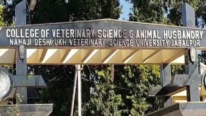 MP Veterinary Collage: चार काउंसलिंग के बाद भी मध्य प्रदेश के कॉलेजों में नहीं भरी वेटरनरी यूजी की सीटें