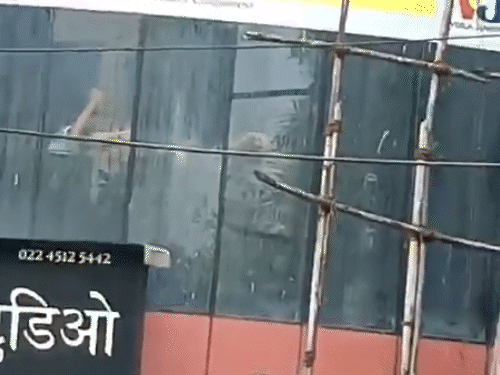 मुंबई में एक्टिंग क्लास में 20 बच्चों को बंधक बनाया:एक घंटे बाद पुलिस ने छुड़ाया, आरोपी भी गिरफ्तार; VIDEO जारी कर स्टूडियो जलाने की धमकी दी थी