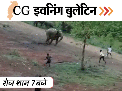 छत्तीसगढ़ इवनिंग बुलेटिन:नर्स को काट-डाला, CJI पर जूता फेंकने पर बवाल, पुलिसकर्मी की बेटी का स्टंट, हाथी ने कुचला, VIDEO में 10 बड़ी खबरें