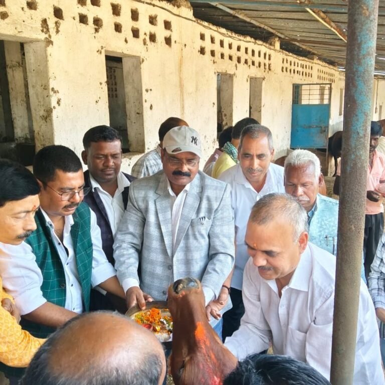 बलरामपुर में गौवर्धन पूजा पर गौशाला में पशु चिकित्सा शिविर:जिला गौसेवा समिति अध्यक्ष आशीष केशरी भी रहे मौजूद