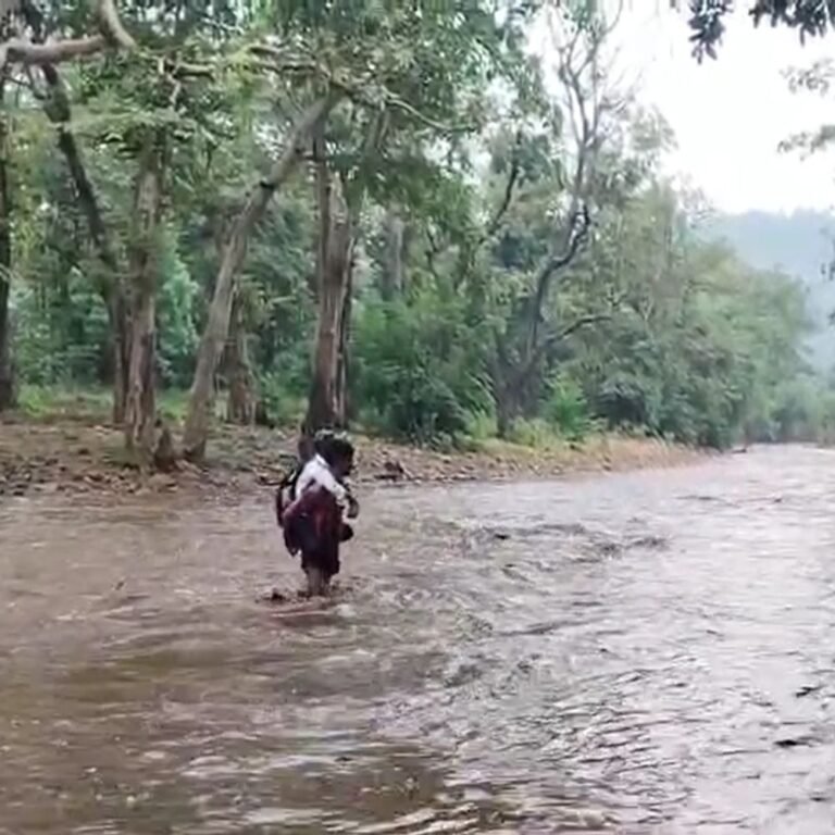 कवर्धा में बारिश से नदी का जलस्तर बढ़ा:बड़ौदा खुर्द में पुल का अभाव, जान जोखिम में डालकर नदी पार कर रहे बच्चे और ग्रामीण