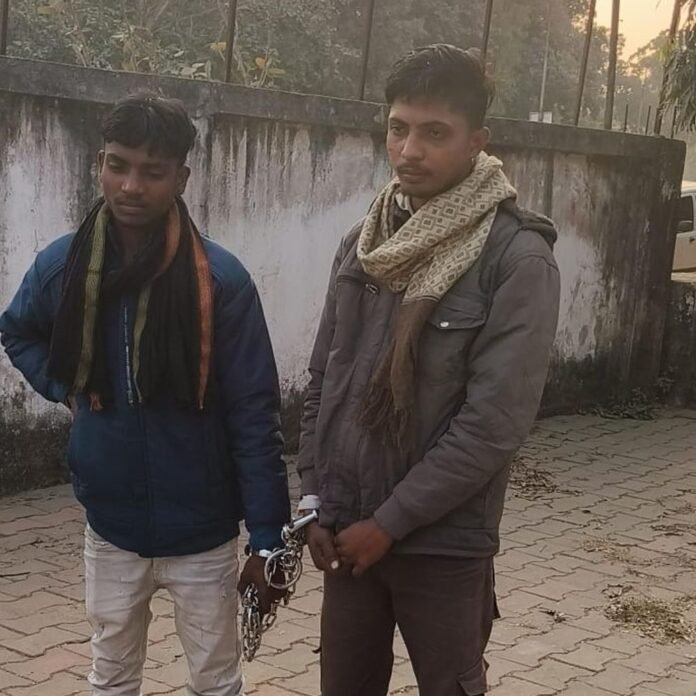 बलरामपुर में अवैध धान कार्रवाई, टीम पर हमला:तहसीलदार-नायब तहसीलदार की गश्ती टीम पर ग्रामीणों ने किया अटैक, दो गिरफ्तार