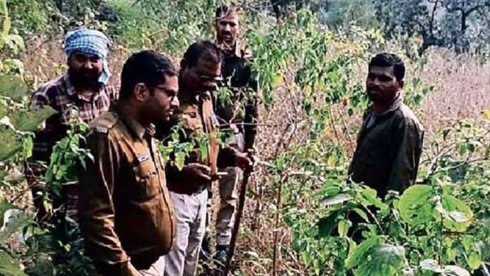 बड़ा शातिर निकला रायसेन में मासूम से रेप का आरोपी सलमान, 8 दिन पहले बंद कर लिया था मोबाइल