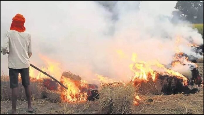 Stubble Burning: पिछले साल से इस बार ज्यादा जली पराली, सख्ती के बावजूद नहीं थम रहा सिलसिला, ये जिले सबसे आगे