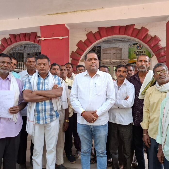 दुर्ग में टमाटर फसल तबाह, वायरस-बैक्टीरिया से सैकड़ों एकड़ खराब:परेशान किसानों ने कलेक्टर से मिलकर बताई बदहाली की कहानी