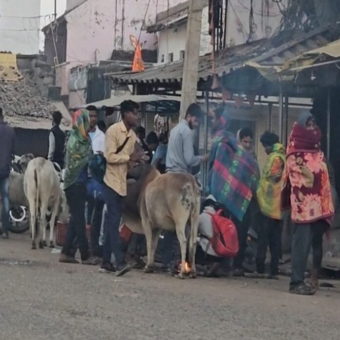 छत्तीसगढ़ में बढ़ी ठंड...सरगुजा में कोल्ड-वेव का अलर्ट:अंबिकापुर में न्यूनतम तापमान 10.9°C, अगले 2 दिन 3 डिग्री तक गिरेगा पारा