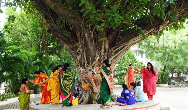 बरगद में एक लोटा जल! बदल देगा आपकी किस्मत, मिलेंगे ये 5 बड़े लाभ।