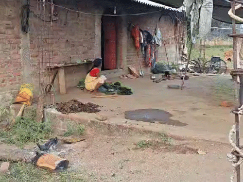 गरियाबंद में एक ही परिवार के 3 बच्चों की मौत:बुखार आने पर बैगा-गुनिया से झाड़-फूंक कराते रहे; 3 दिन में मासूमों ने तोड़ा दम