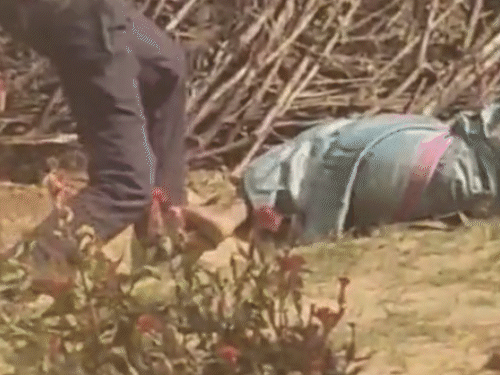 7 महीने की प्रेग्नेंट प्रेमिका को पीट-पीटकर मार-डाला...VIDEO:बच्चे की भी मौत, शरीर पर 40-50 डंडे के निशान; ढुकू प्रथा के तहत घर लाया था