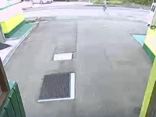 जापान में भालुओं को पकड़ने के लिए सेना तैनात:7 महीने में 100 हमले, 12 की मौत; लोगो को घरों में घंटियां रखने की सलाह