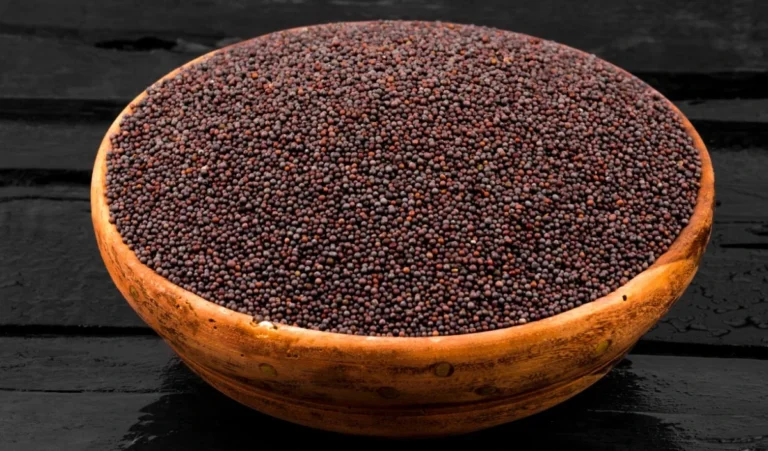 शनिवार को काली सरसों का अचूक उपाय; बुरी नजर और नकारात्मकता से पाएं मुक्ति, घर में आएगी सुख-शांति