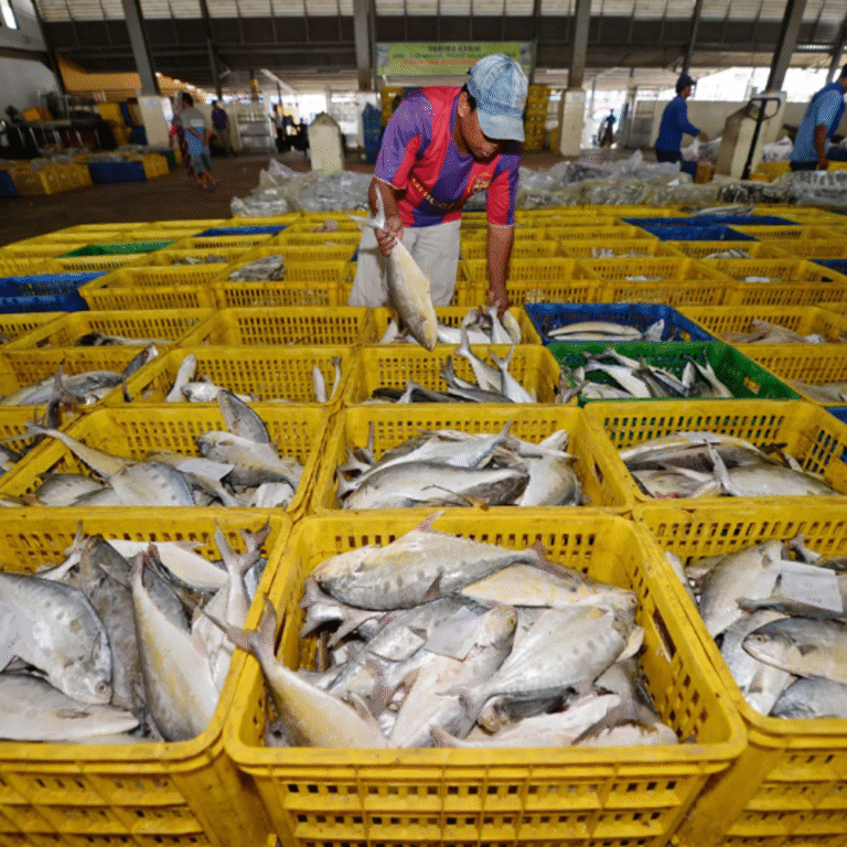 चीन के जापानी सीफूड पर बैन से भारत को फायदा:दोनों देशों में विवाद से इंडियन कंपनियों के शेयर बढ़ें