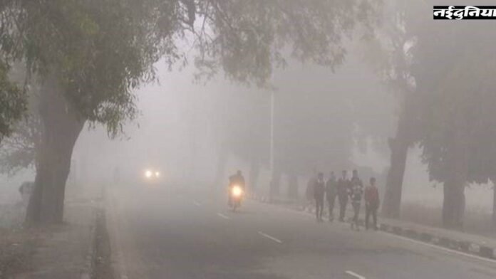 MP Weather Update: कड़ाके की ठंड के साथ छाने लगा कोहरा, रीवा-सतना में सुबह दृश्यता 50 मीटर; भोपाल में शीतलहर