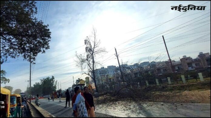 भोपाल में अयोध्या बायपास को सिक्सलेन करने के लिए चलने लगी कुल्हाड़ी, कटे 60 से अधिक पेड़, पर्यावरण प्रेमियों ने किया 'चिपको आंदोलन' का एलान